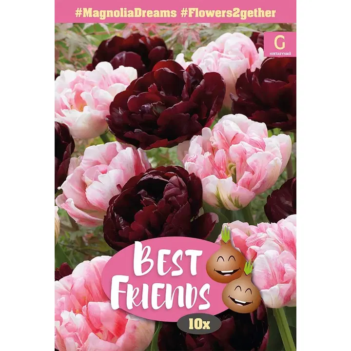 Magnolia Dreams Blend 11/12, 10kpl