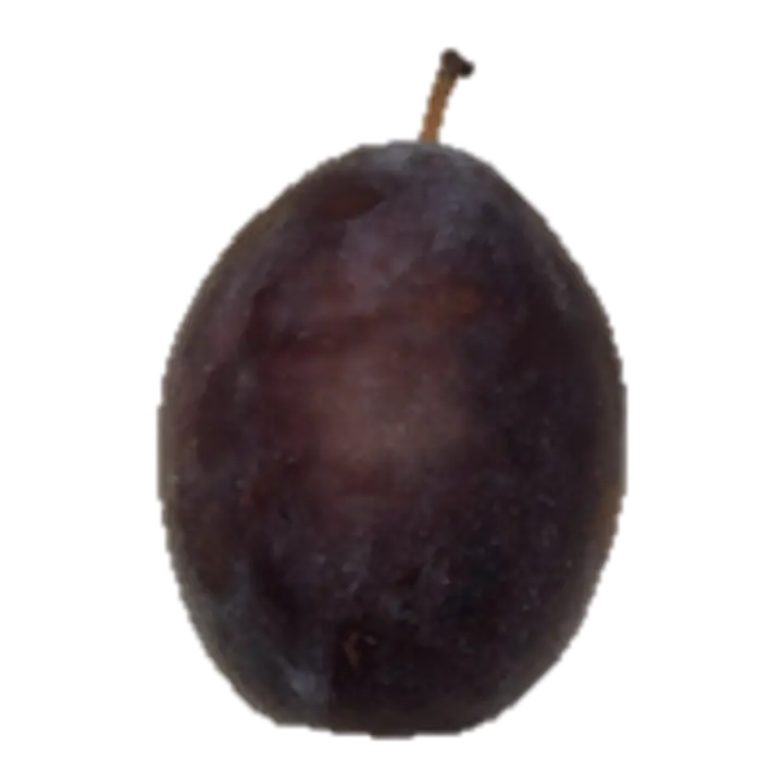 Ploom President I klass