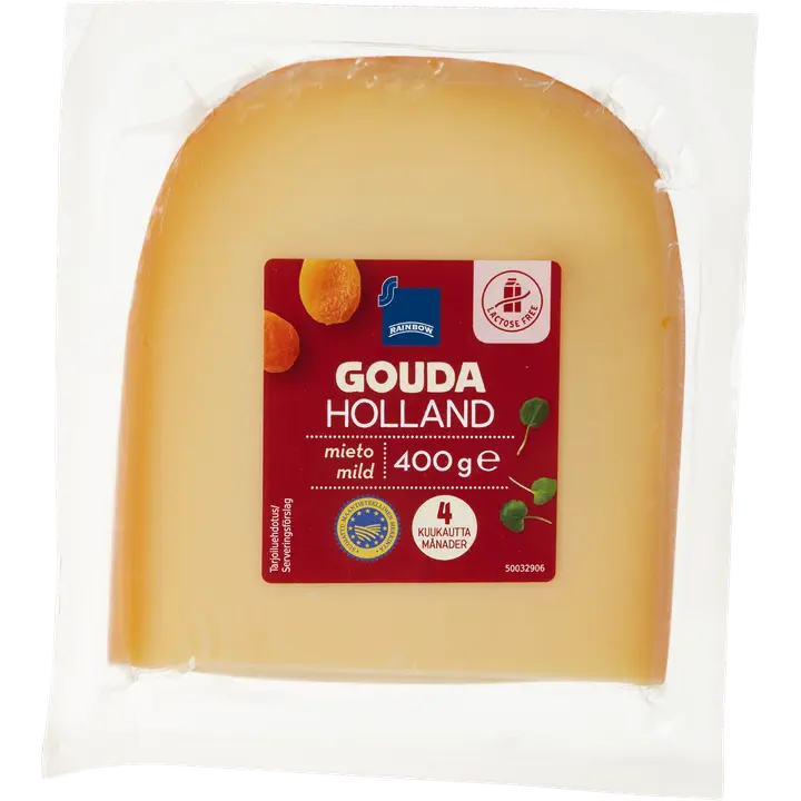 Rainbow Gouda Holland juusto mieto 4kk 400 g