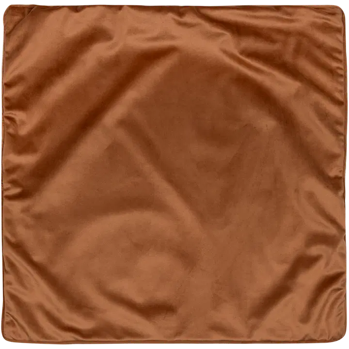 Dekoratiivpadjakate velvet 50x50 pruun