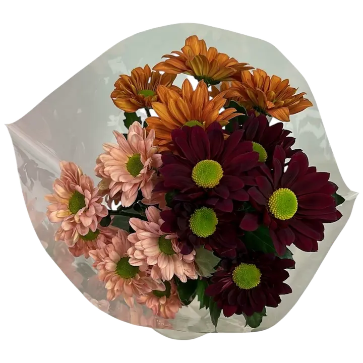 Krysanteemikimppu, lajitelma, 5 oksaa, 50cm