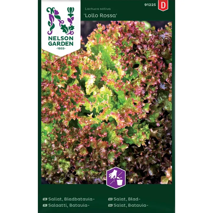 91225 salat lollo rossa