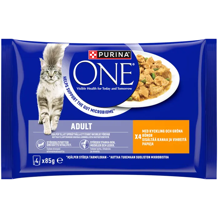 Purina One 4x85g Adult Minifileet kastikkeessa, sis. kanaa ja vihreitä papuja