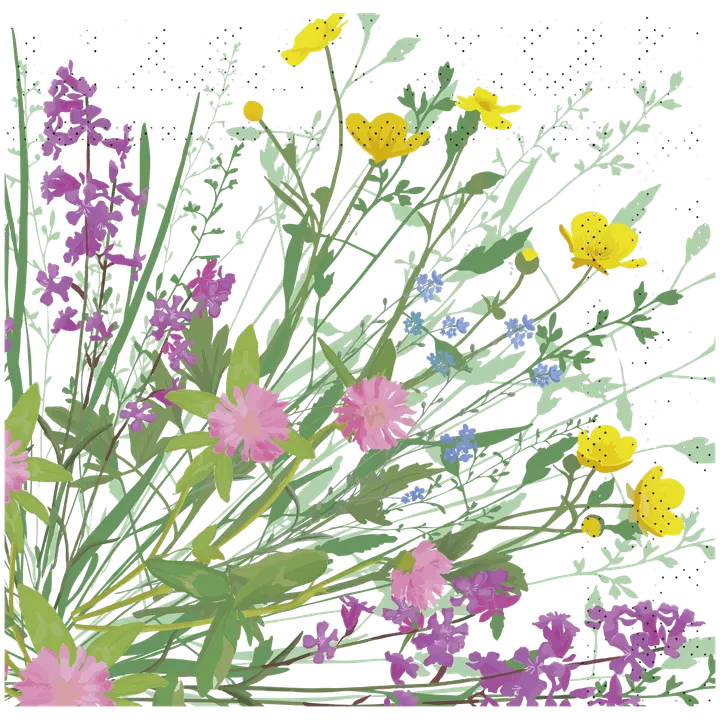 Huhtamäki Kesä lautasliina 20x25*25cm Swan