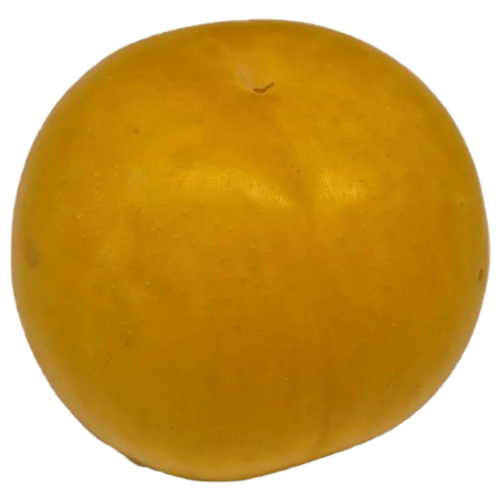 Ploom kollane suur