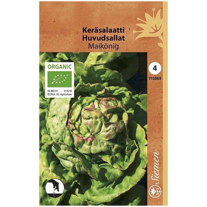 Luomu Keräsalaatti Maikönig
