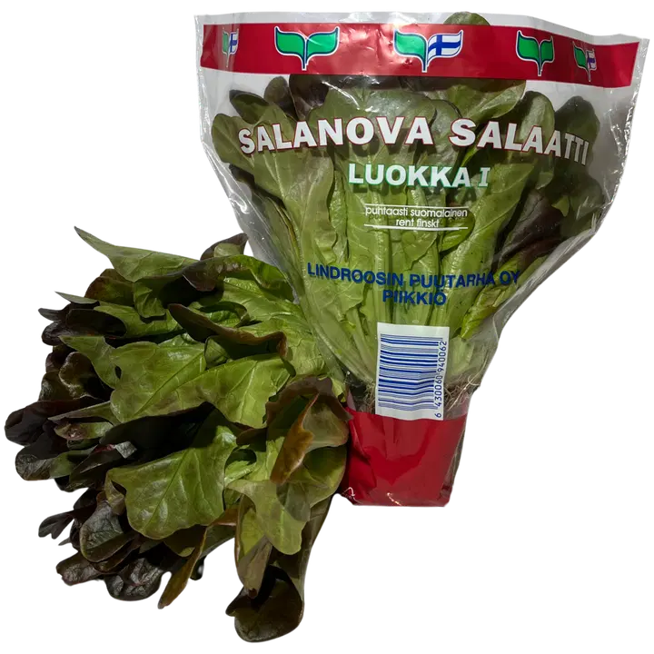 SALANOVA SALAATTI