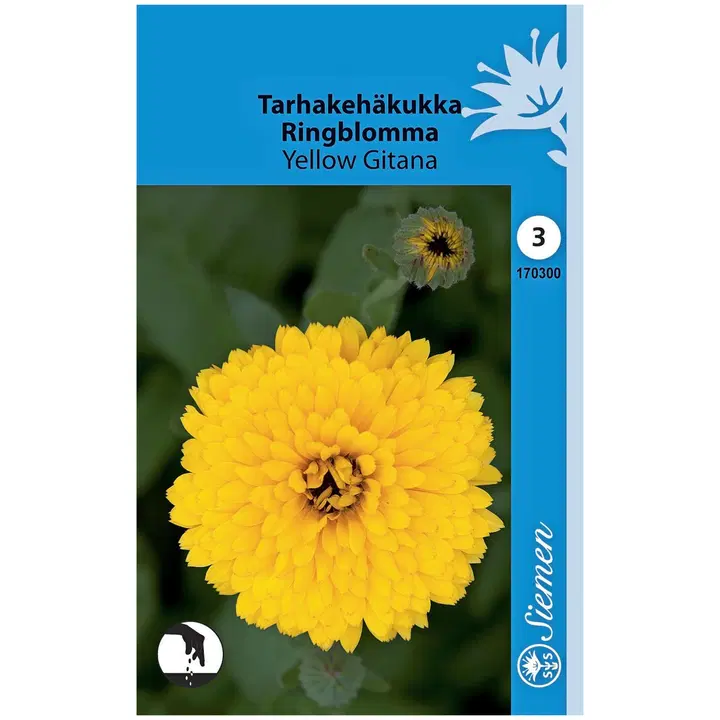 Tarhakehäkukka Yellow Gitana