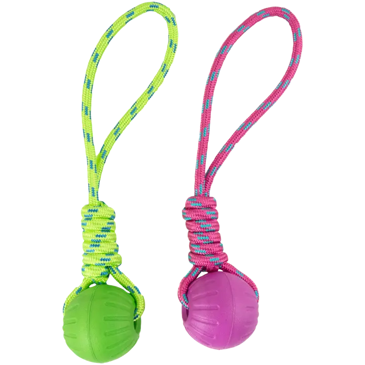 Best Friend Fetch Ball koiran pallo, värilajitelma