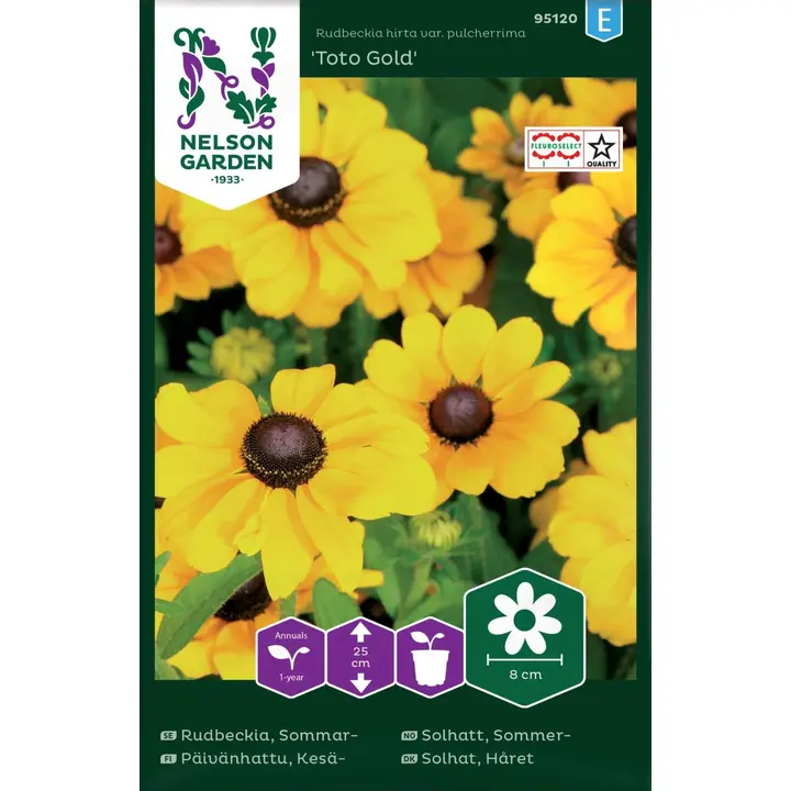 95120 päevakübar toto gold