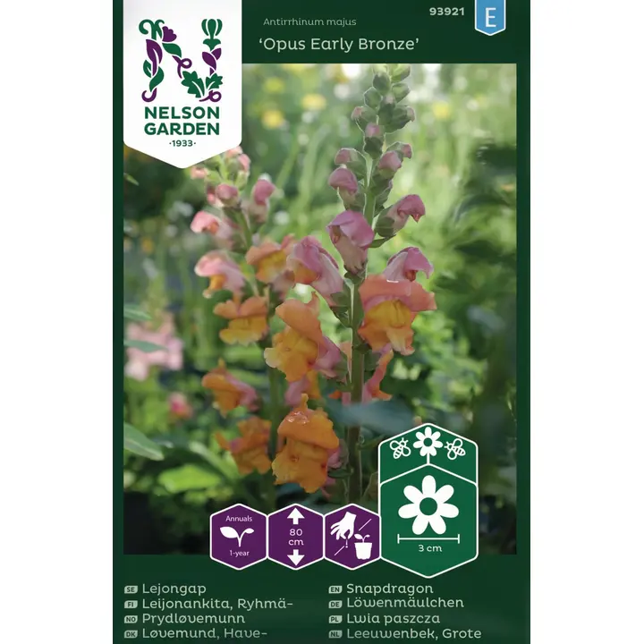 93921 lõvilõug opus early bronze f1