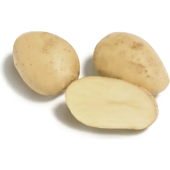 Uuden sadon peruna