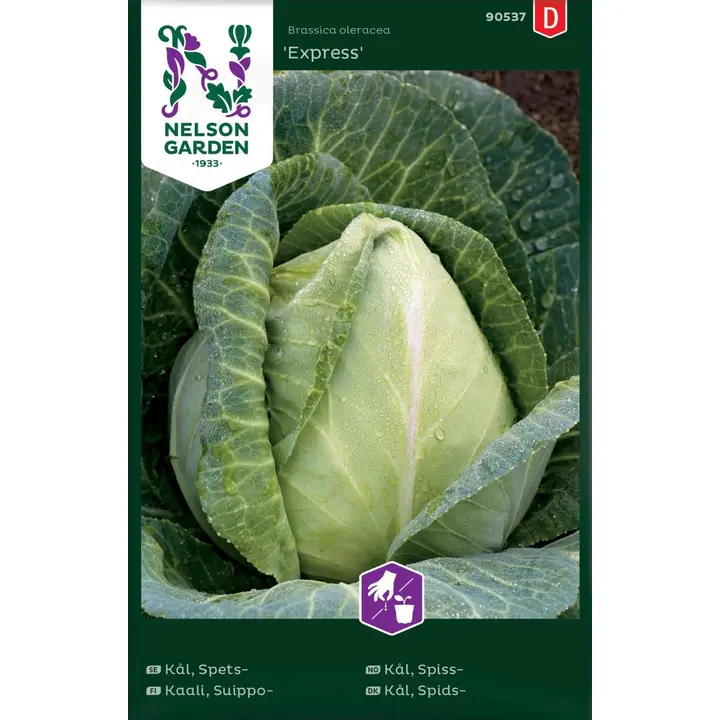 90537 kapsas express