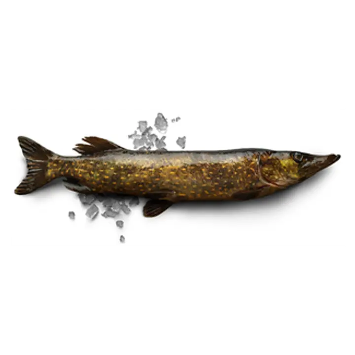 Haug, roogitud, jahutatud, kg