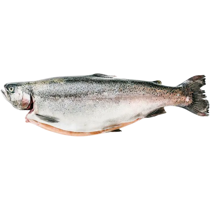 Norjan lohi 1-2 kg