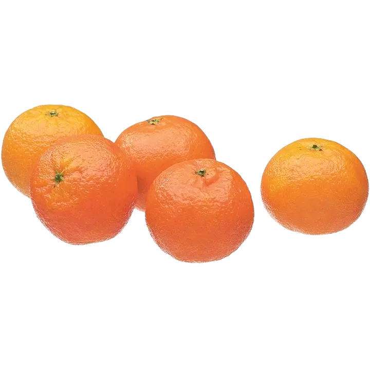 Fresh mandariini minneola