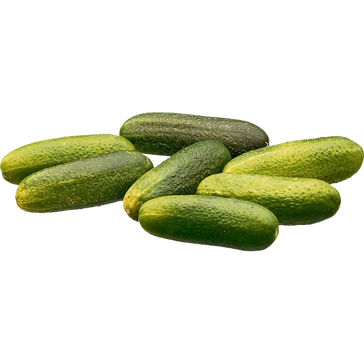 H&H Tuominen avomaankurkku Suomi HH tuomine Oy