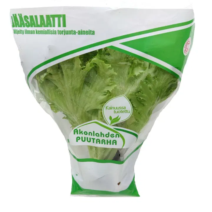 Akonlahden jääsalaatti ruukussa