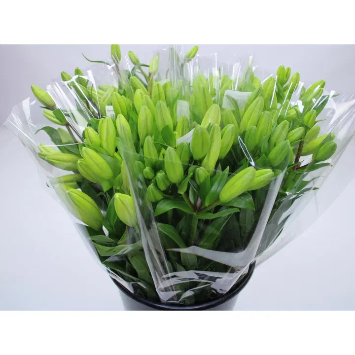 Lilja, lajitelma, tuoksuton, 3 oksaa, 50cm