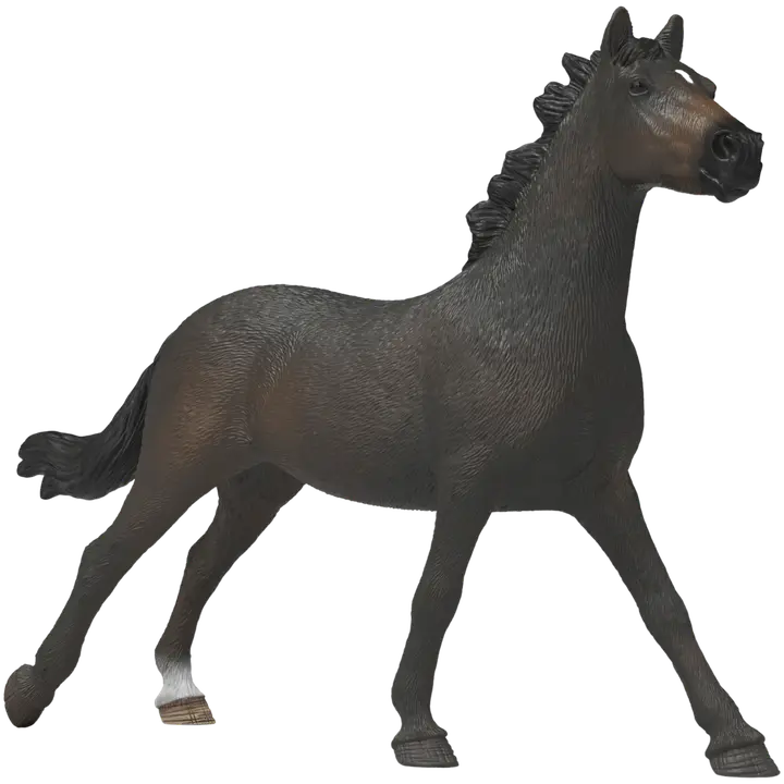 Inglise täisvereline mära