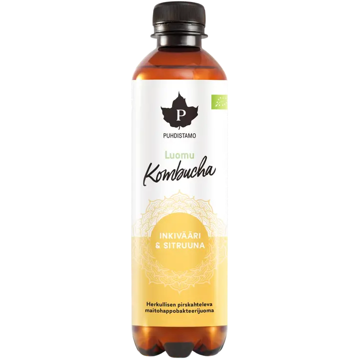 Puhdistamo Luomu Kombucha Inkivääri-Sitruuna 370 ml