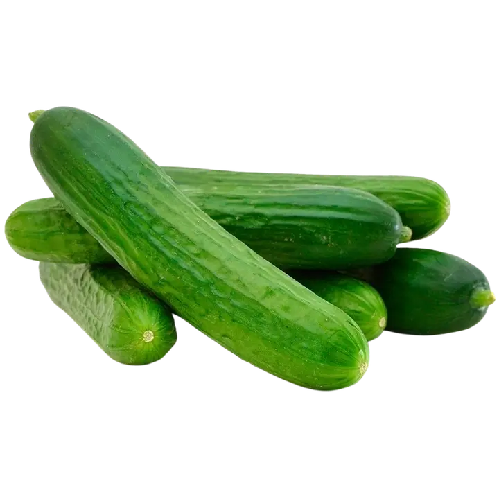Luomu kurkku