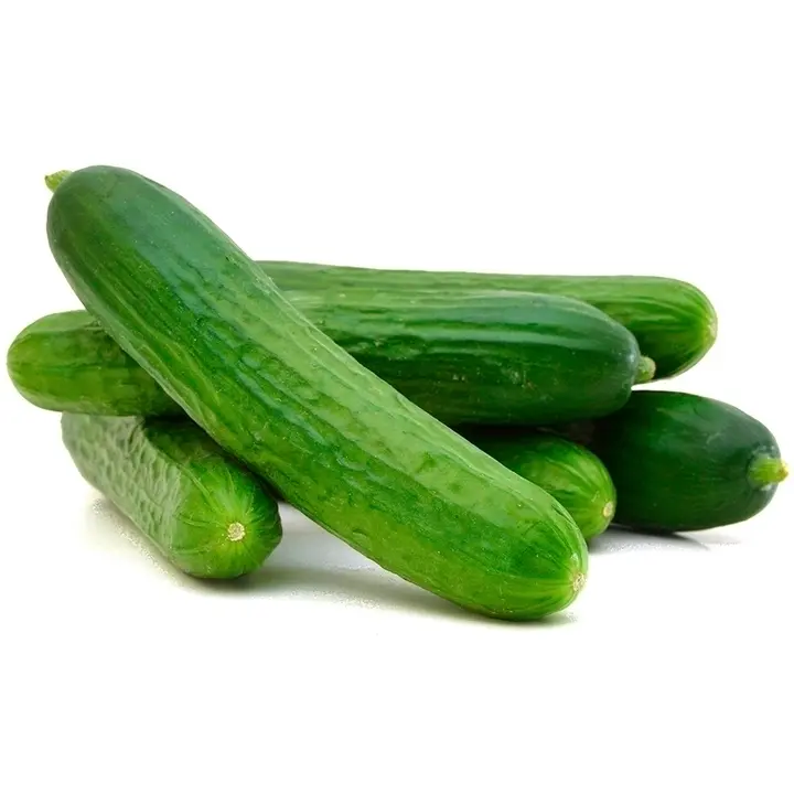 Maukan makea, pieni kasvihuonekurkku