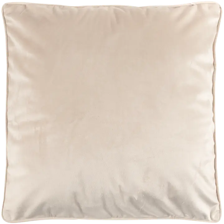 House sisustustyynynpäällinen Velvet 50x50 cm beige