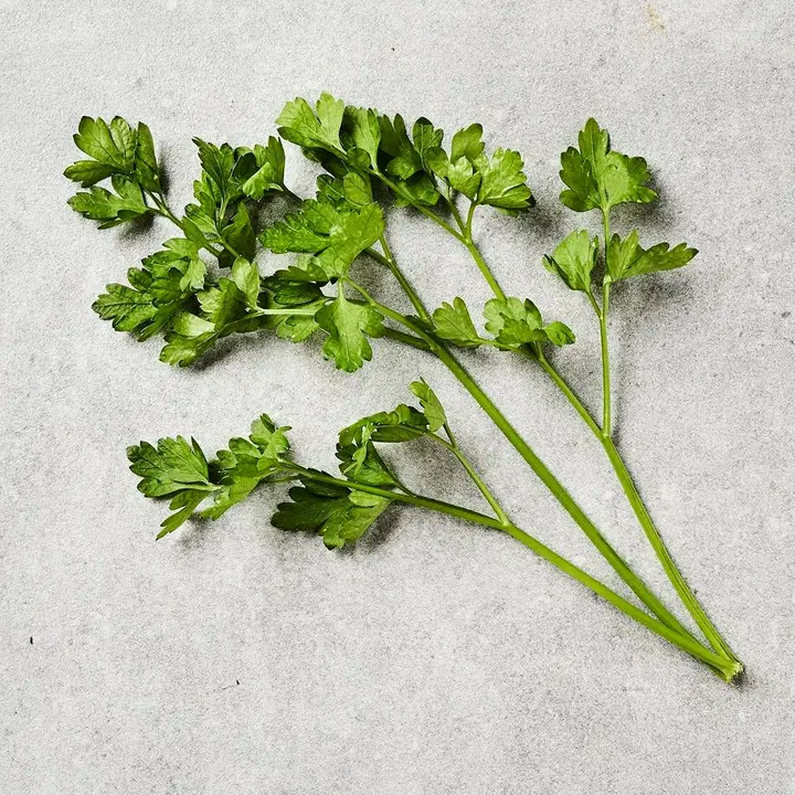 Husulan Puutarha persilja pussi