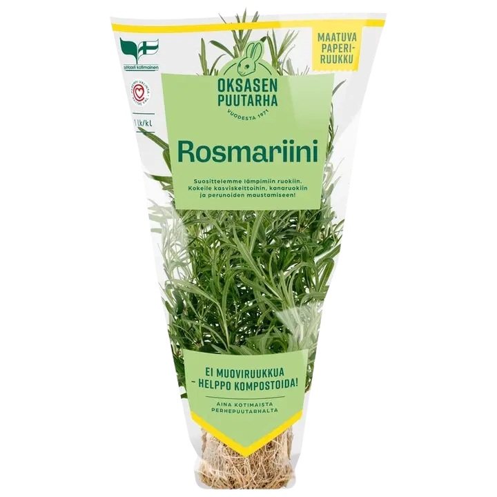 Rosmariiniruukku Oksanen