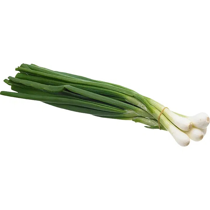 Deliverde kevätsipulinippu