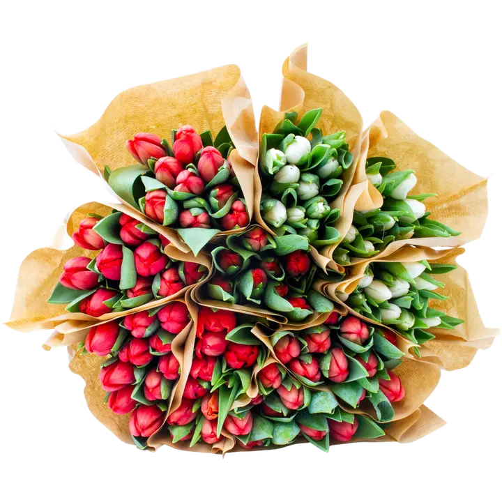 Tulbikimp 10tk punased valged