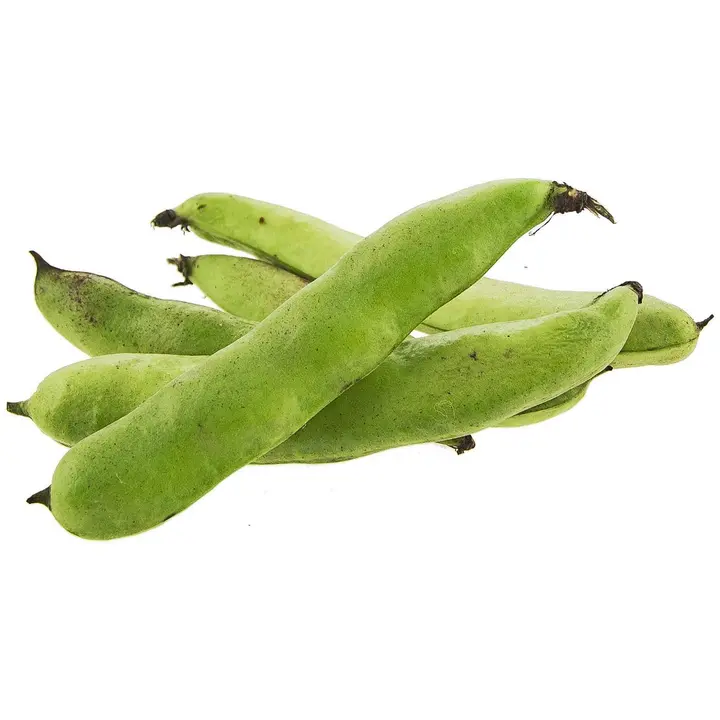 Härkäpapu