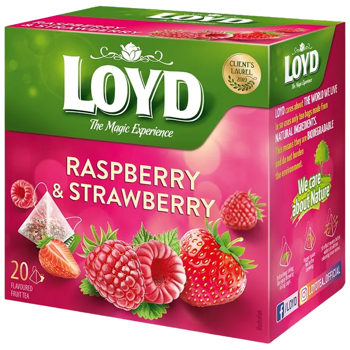 Loyd puuviljatee Pyramids vaarikas ja maasikas 40g