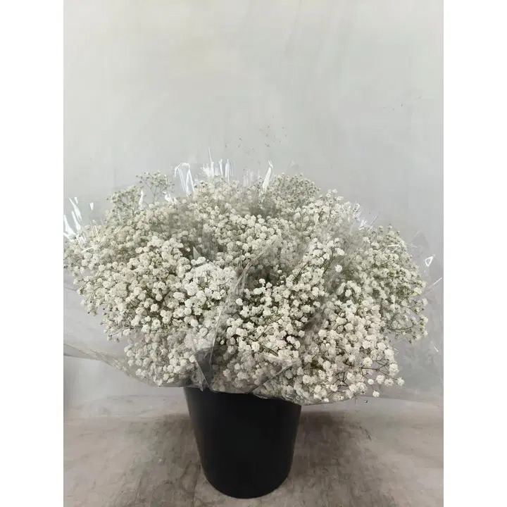 Harsokukka 3kpl, 50cm, valkoinen