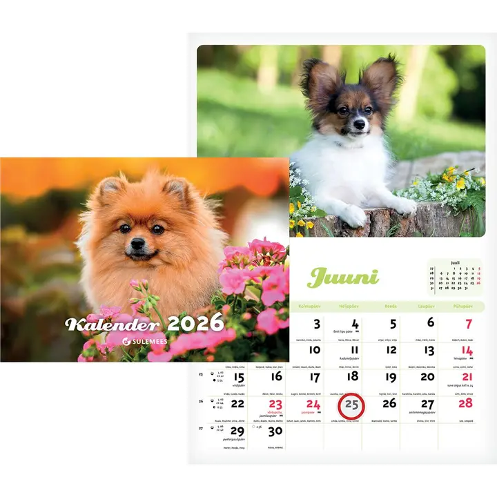 Seinakalender kutsu kalender