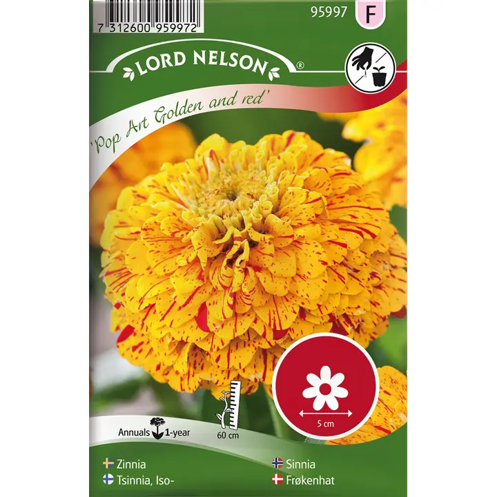 95997 zinnia pop art gold & red
