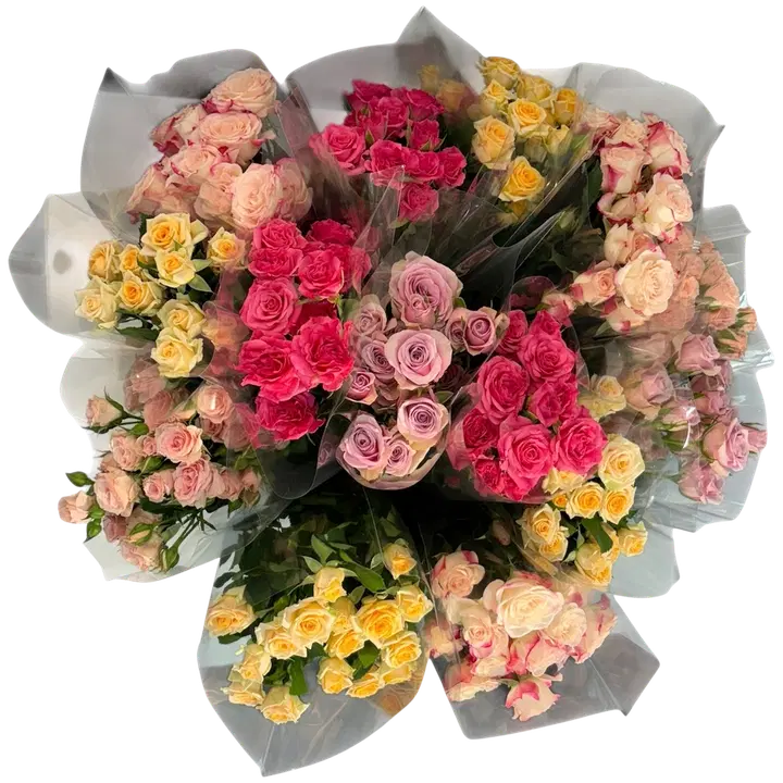 Rosor, mix, 3-pack, höjd 50cm