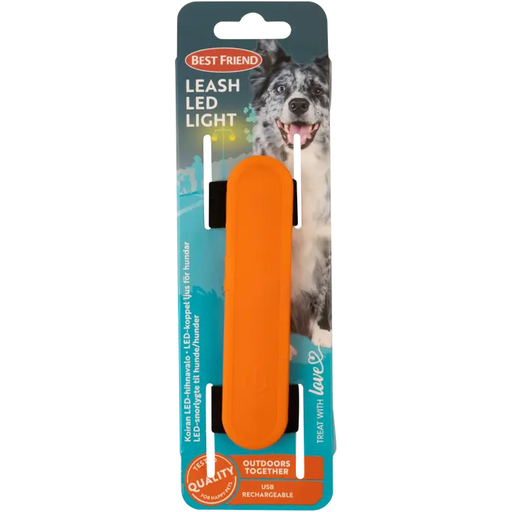 Best Friend Koiran LED hihnavalo