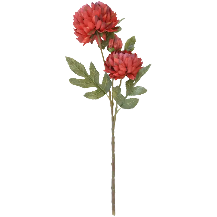 Finnmari Krysanteemi 50 cm terra