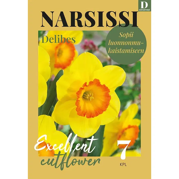 Narsissi, Narcissus Delibes Z12/14, 7kpl
