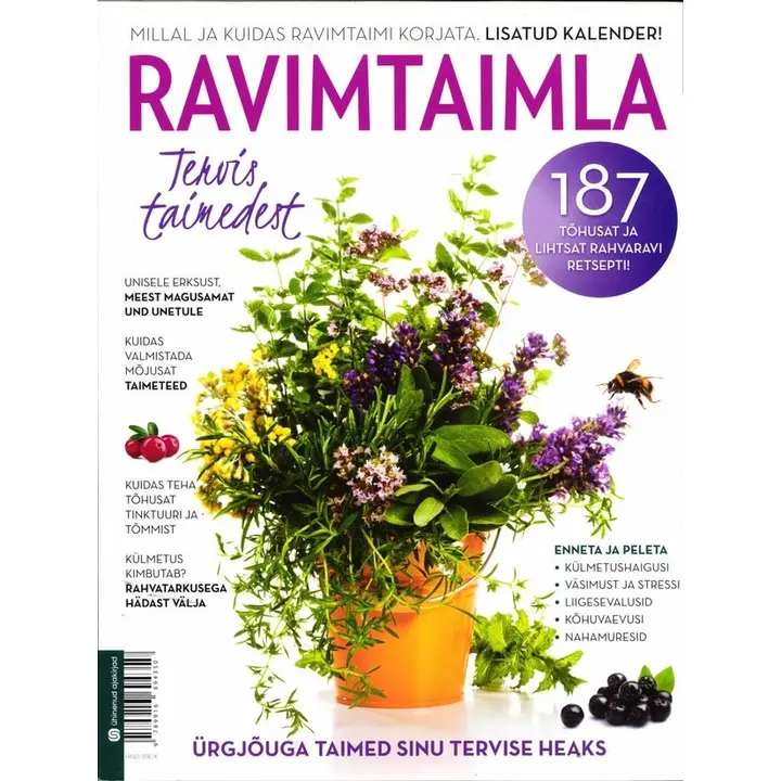 Ravimtaimla