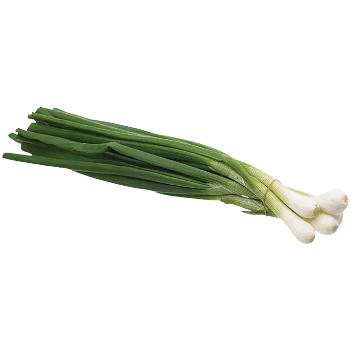 Roheline sibul pakitud 100g