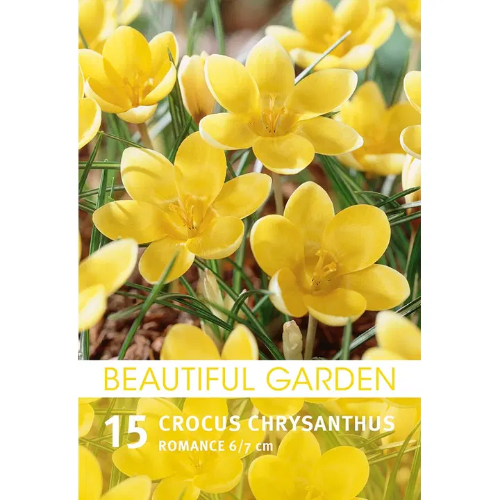 Kultasahrami Romance 15kpl