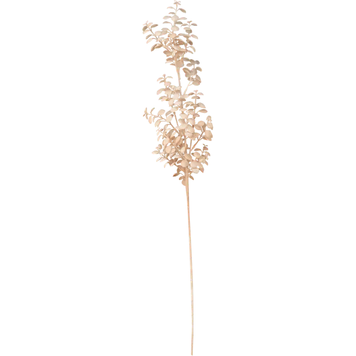 Teko-oksa Shell 75 cm