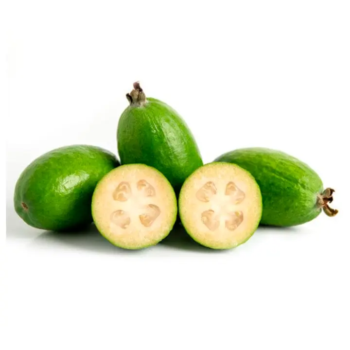 Feijoa