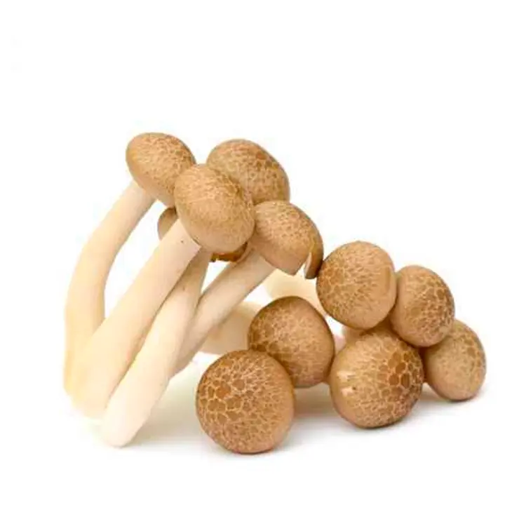 Seen Shimeji pruun 150g