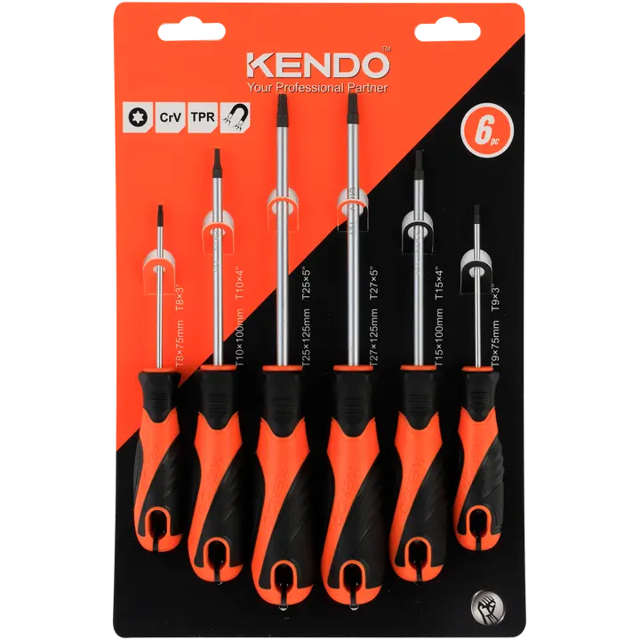 Torx kruvikeeraja komplekt 6-osa