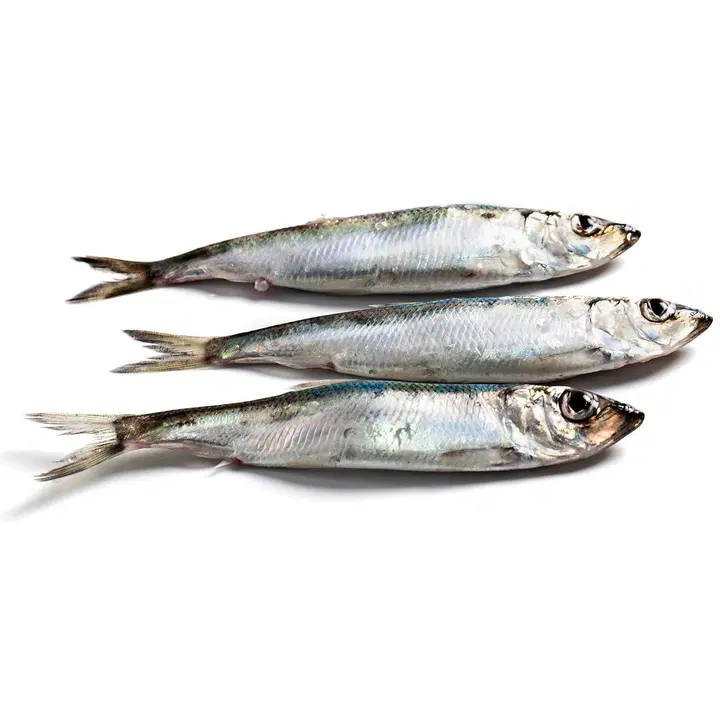 KalaValtanen silakka