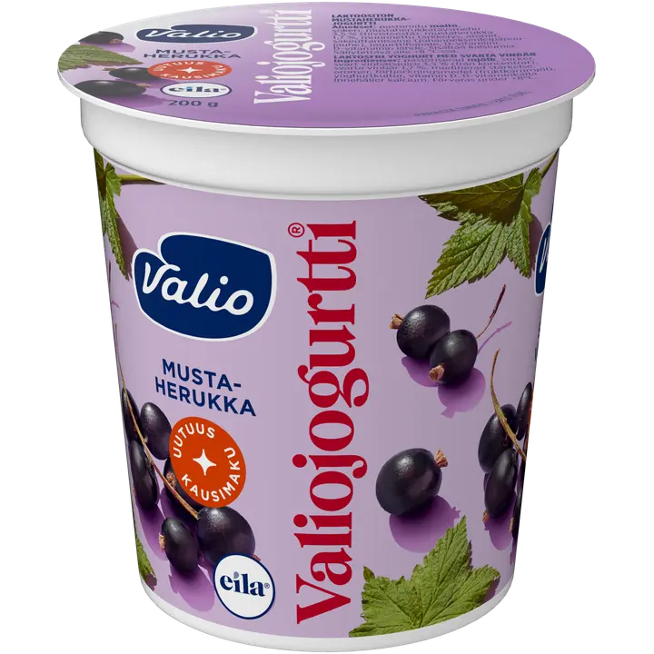 Valiojogurtti® 200 g mustaherukka laktoositon kausimaku
